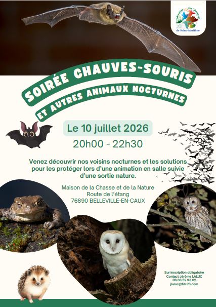 Soirée chauves-souris et autres animaux nocturnes