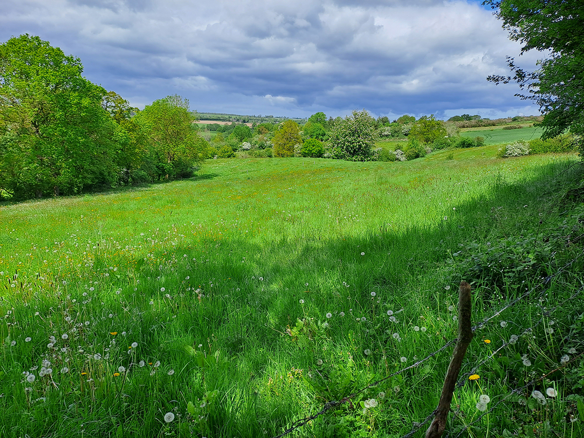 Le circuit des Monts, Les Monts d'Aunay