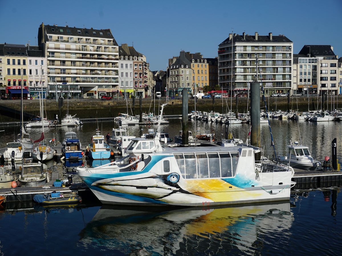 Hague à Part - Balade de la Rade de Cherbourg, Cherbourg-en-Cotentin - photo 4
