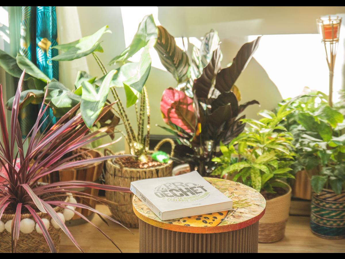 Meublé de Tourisme > La Kanopée, Cherbourg-en-Cotentin - photo 4