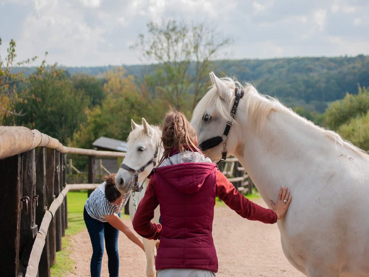 Balade à cheval (1 journée) aux Chevaux de Marolles