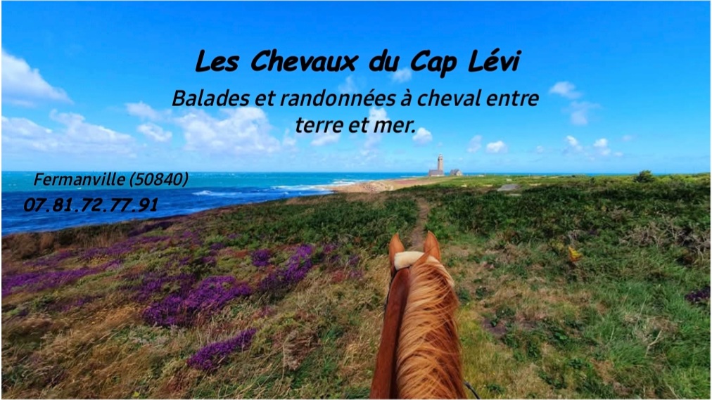 Balade à cheval à la demi-journée.