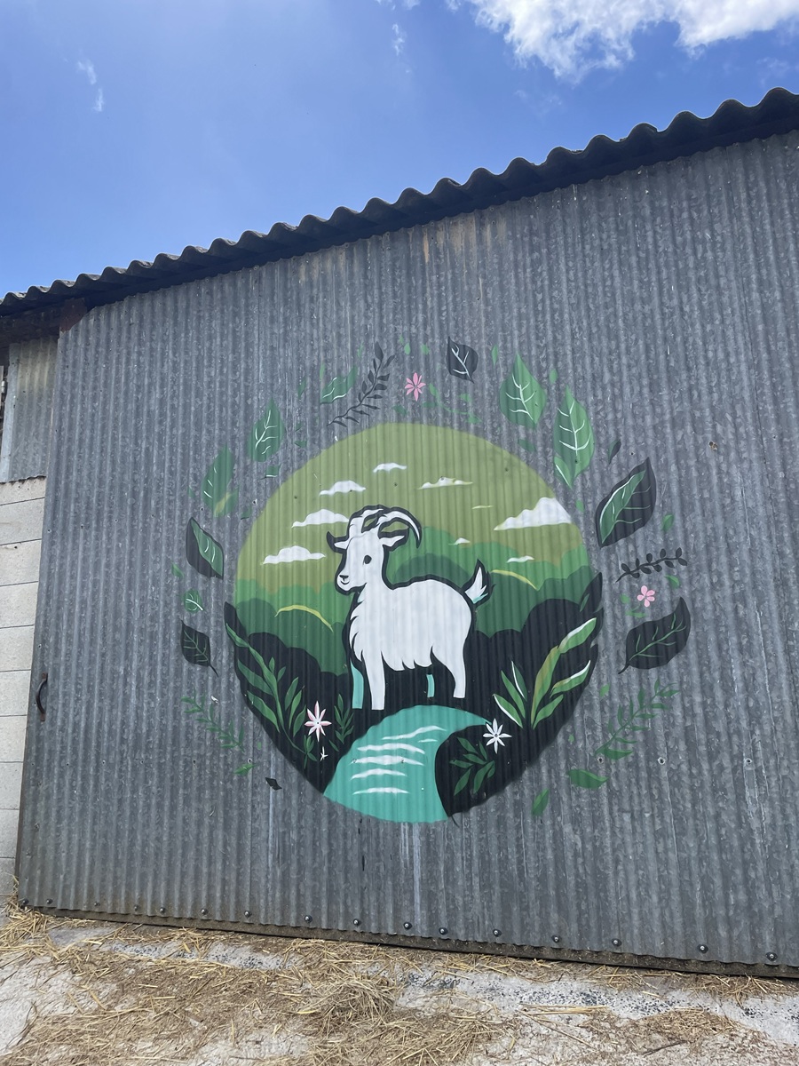 La Chèvrerie du Bouc'Ay — photo 2