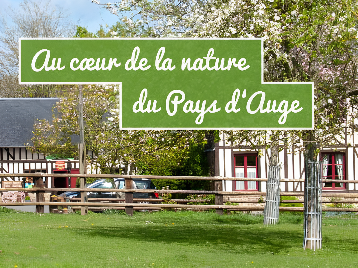 Les Bruyères Carré, Moyaux