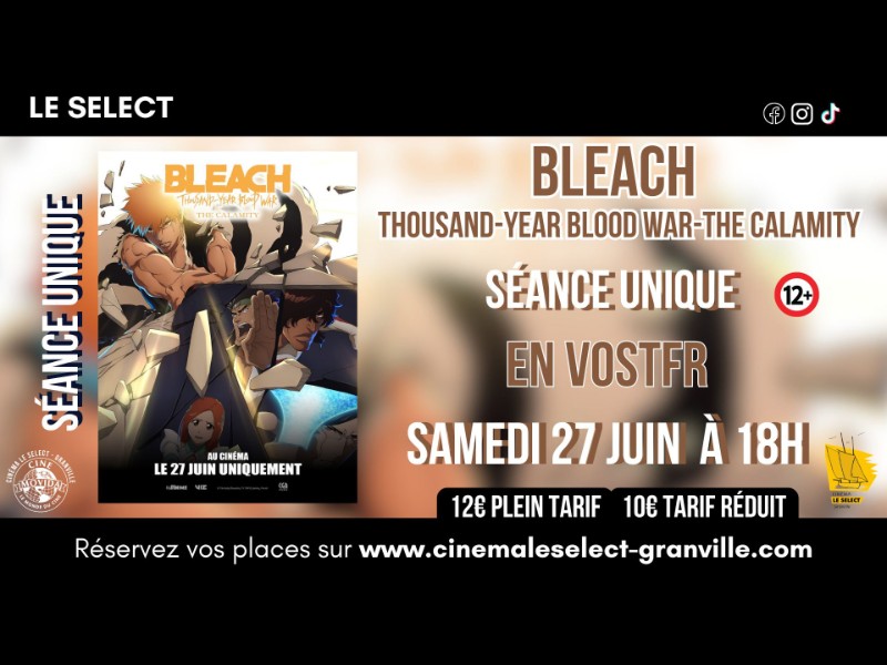 Séance spéciale - Bleach