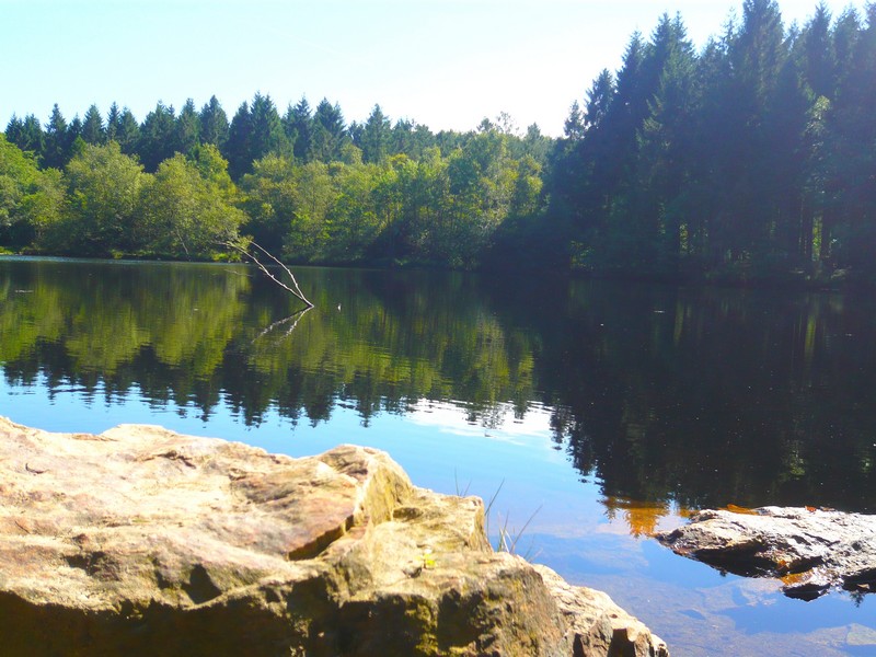 Le circuit de boise, Noues de Sienne - photo 3