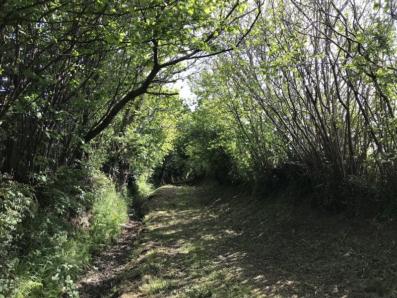 Donjon et moulin de Pirou - Randonnée