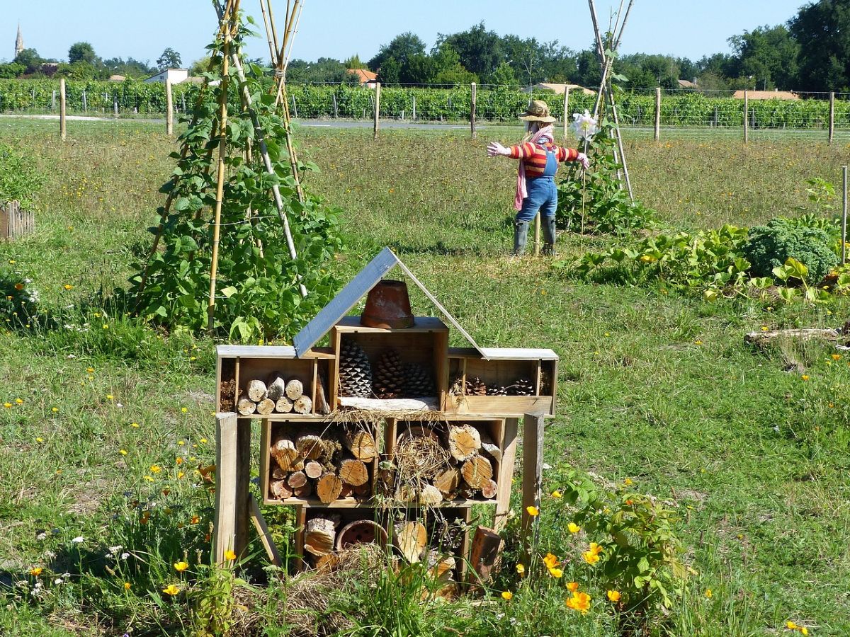 Découvrir la permaculture