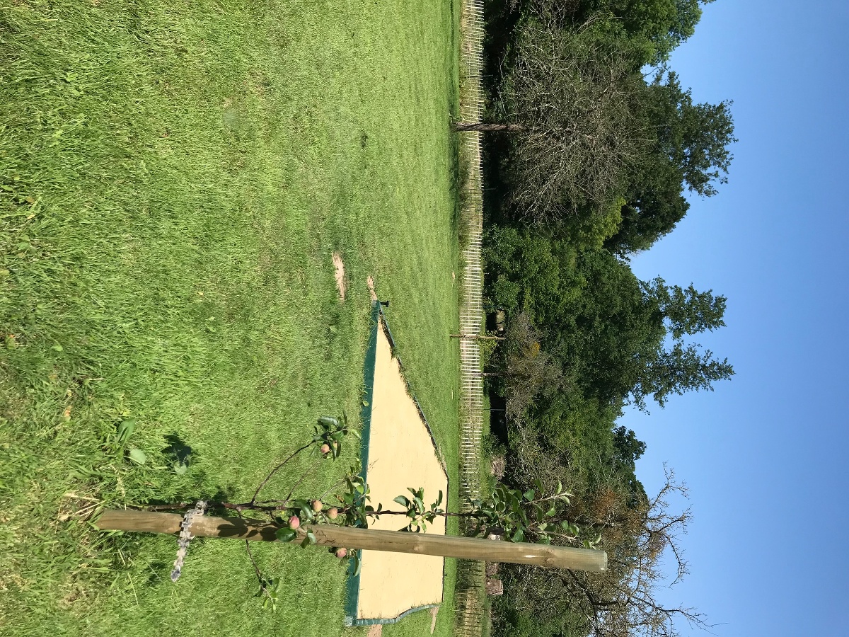 Le Coq Au Vert, Thury-Harcourt-le-Hom - photo 8