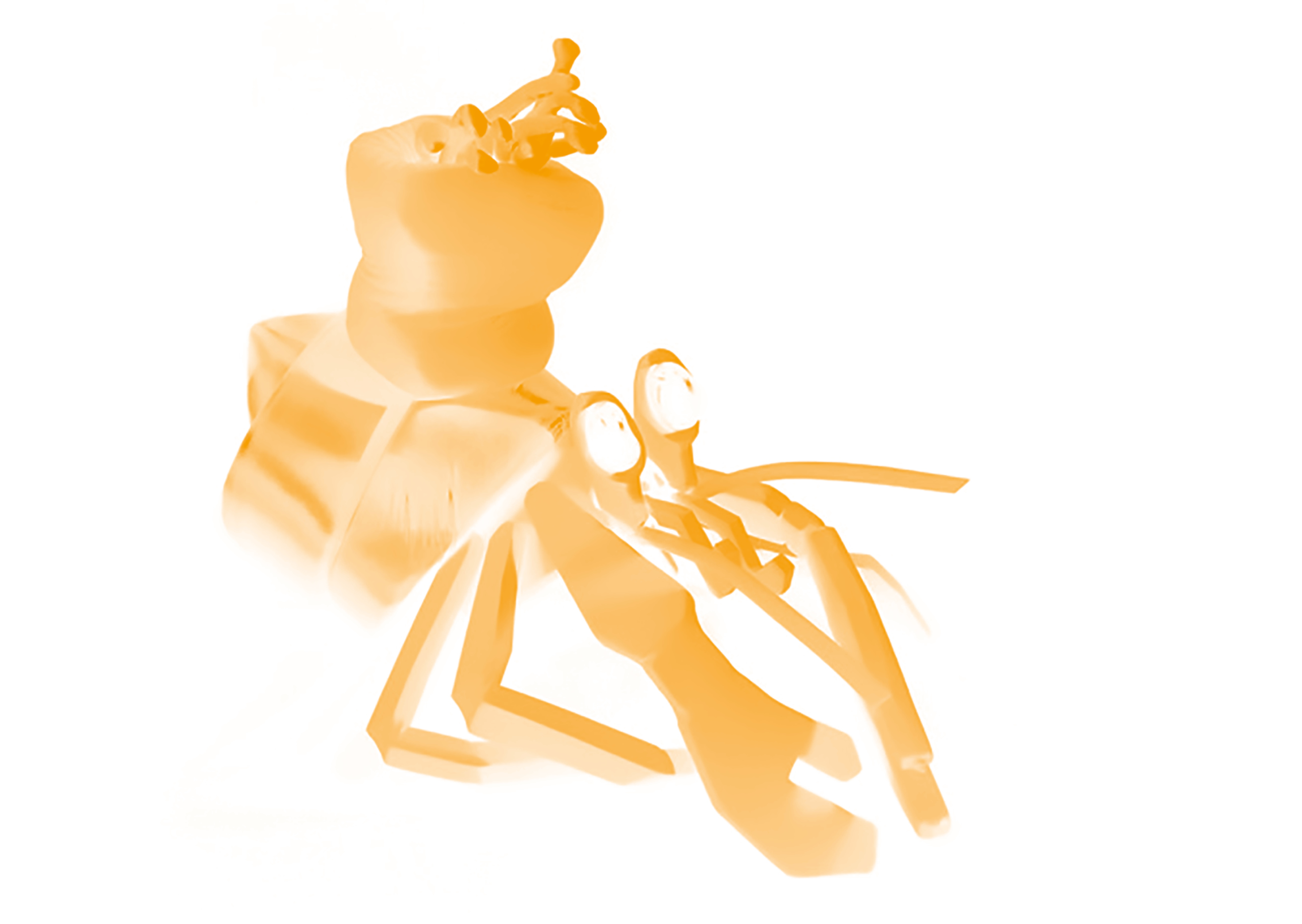 [Musique & Marionnettes] Coquille Diamant