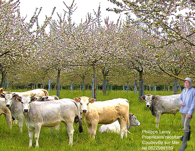 Ferme cidricole Domaine M. Le Girard