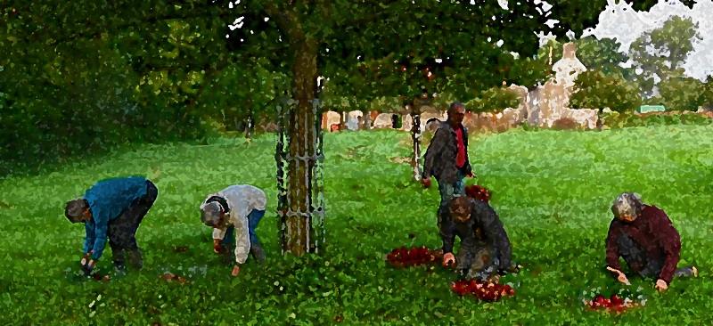 Ferme cidricole Domaine M. Le Girard — photo 2