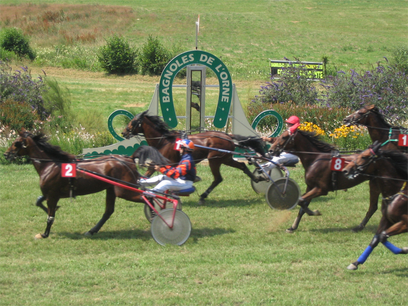 Courses hippiques