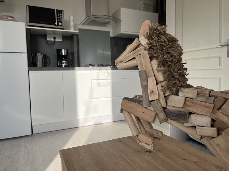 Meublé de tourisme > Ty Cozy, Saint-Jean-d'Elle - photo 9