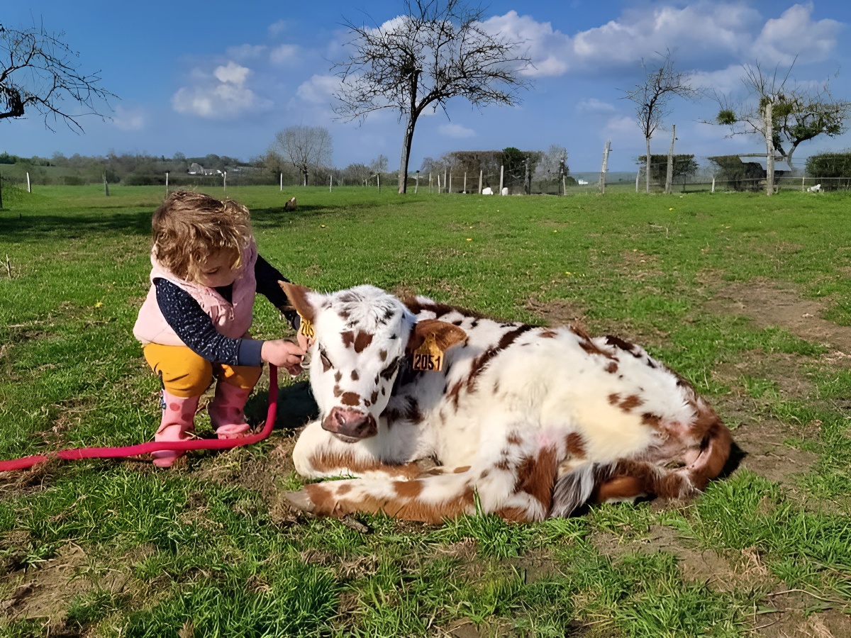 Dans la peau d'un soigneur à la ferme pédagodique Les petits sabots de L'Oudon