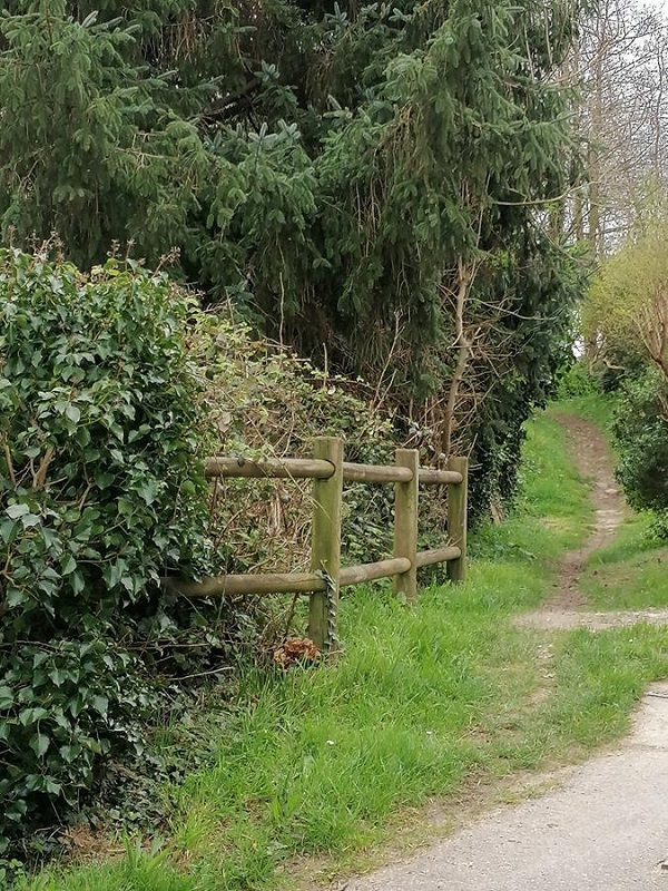 Meublé de tourisme > Magnolia Cottage, Digosville - photo 5