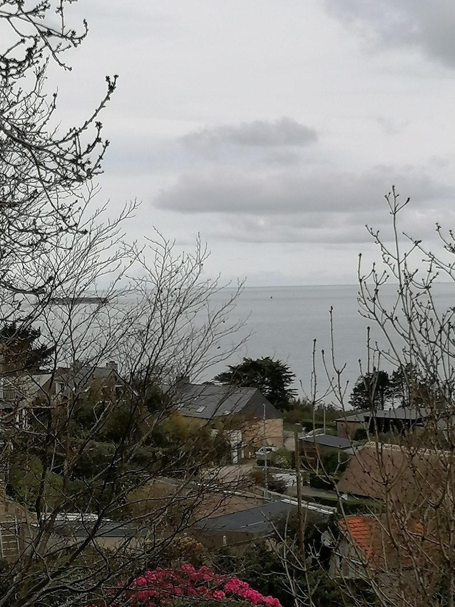 Meublé de tourisme > Magnolia Cottage, Digosville - photo 11