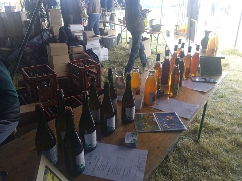 Domaine de l'Orogale, Montreuil-sur-Lozon - photo 2