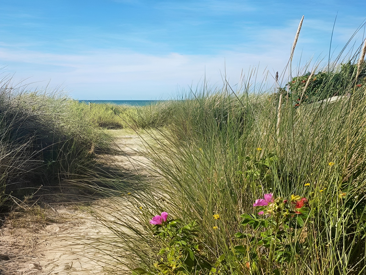 Les Mouettes, Courseulles-sur-Mer - photo 11