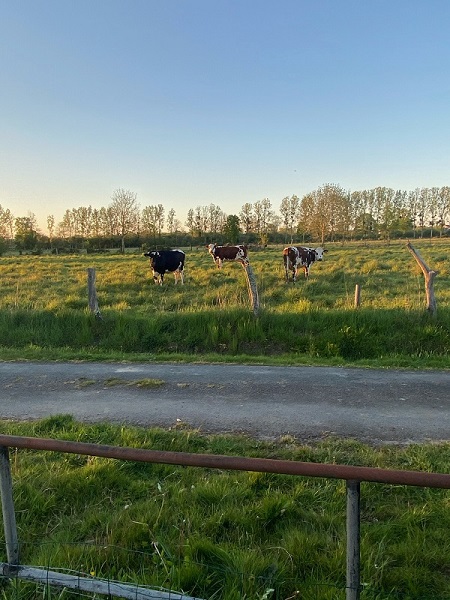 Chambres d'hôtes > L'Autre Rivière, Ducey-Les Chéris - photo 3
