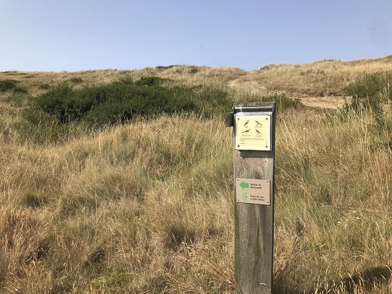 Les dunes de Créances - Sentier de découverte — photo 3