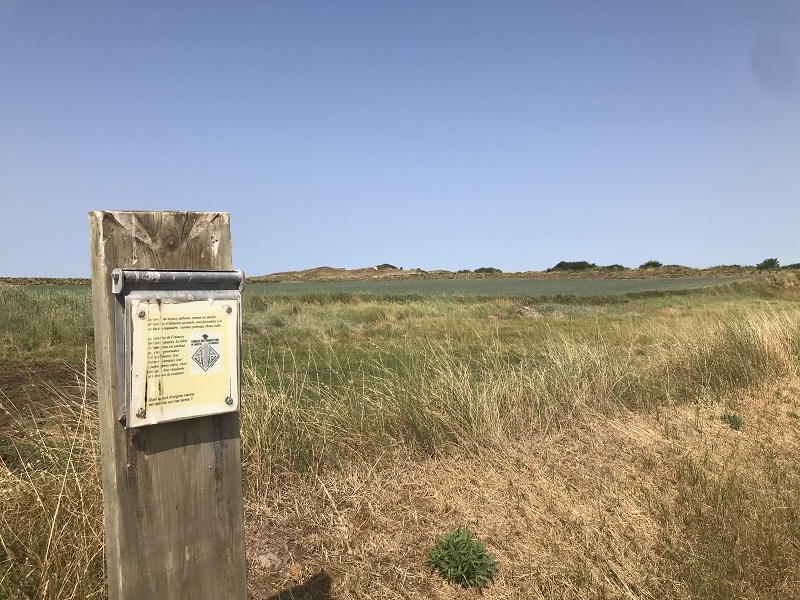 Les dunes de Créances - Sentier de découverte — photo 2