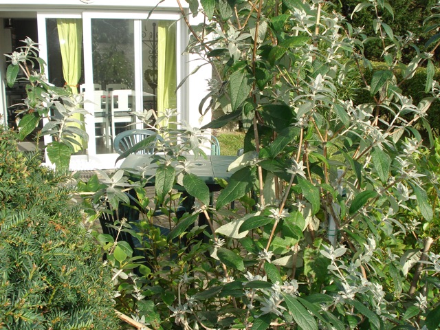 Meublé de tourisme > L'Engoulevent, Barneville-Carteret - photo 8