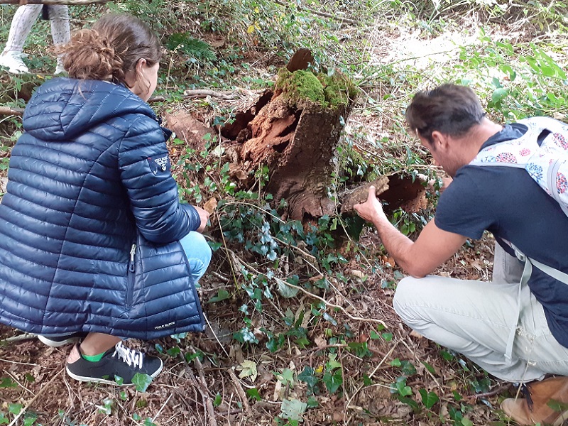 L'Ecureuil Activités Nature