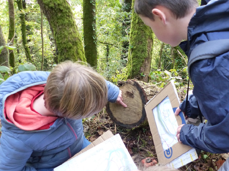 L'Ecureuil Activités Nature