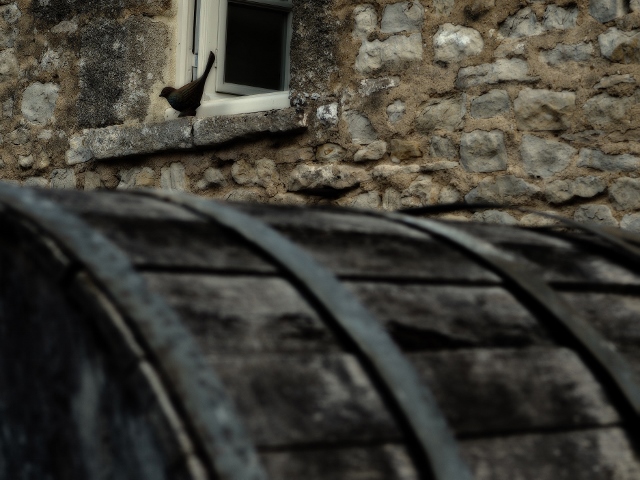 Meublé de tourisme > L'Ecurie, Carentan-les-Marais - photo 5