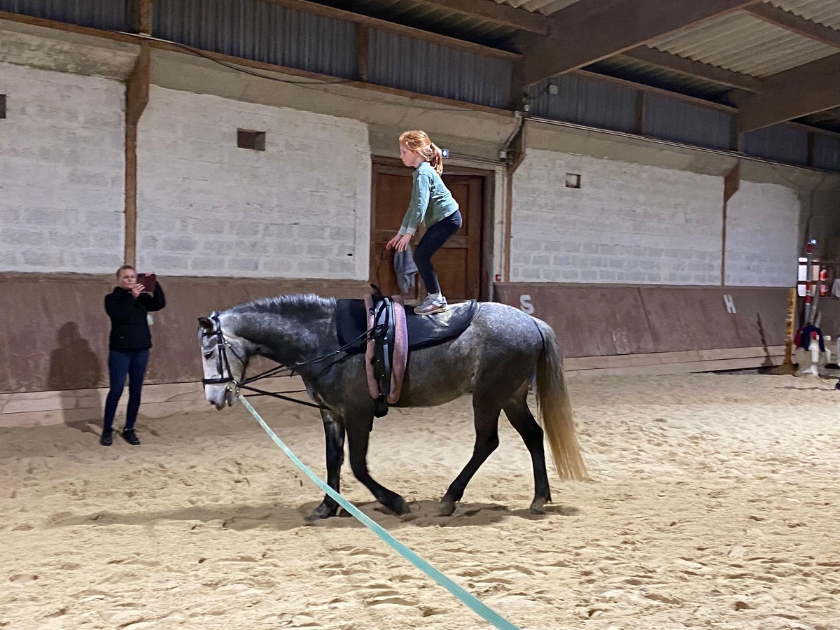 Écurie du Littoral, Saint-Aubin-sur-Mer - photo 6