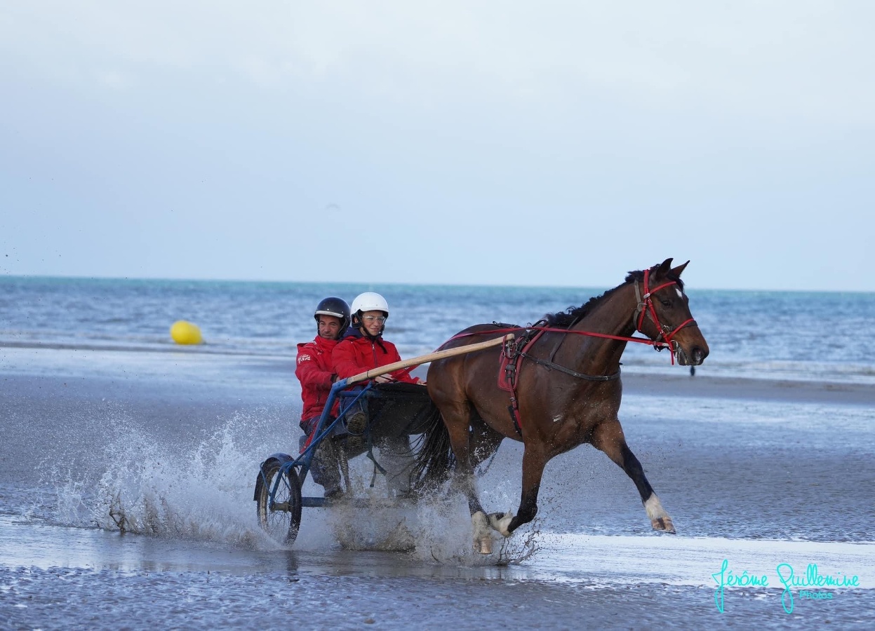 Ecurie du petit paris