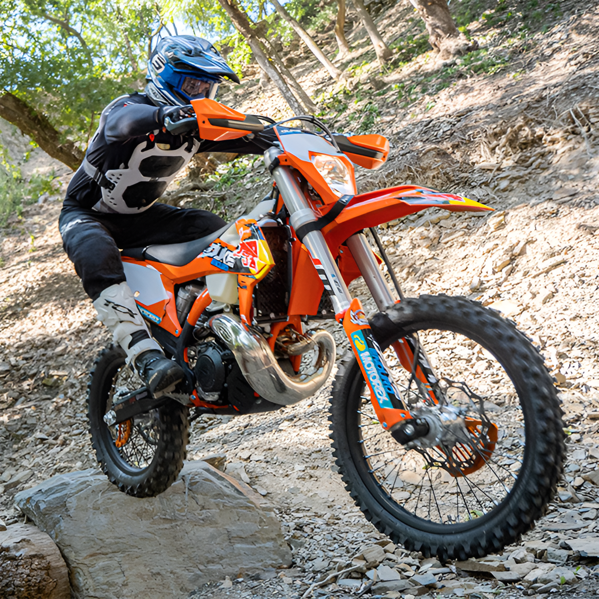 Duke Enduro, Esson - photo 4