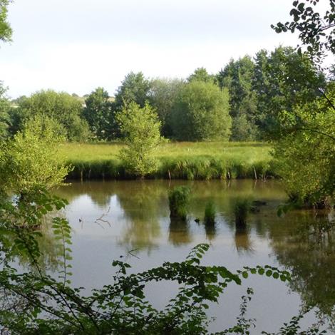 L'étang du Perron - Orne en Normandie