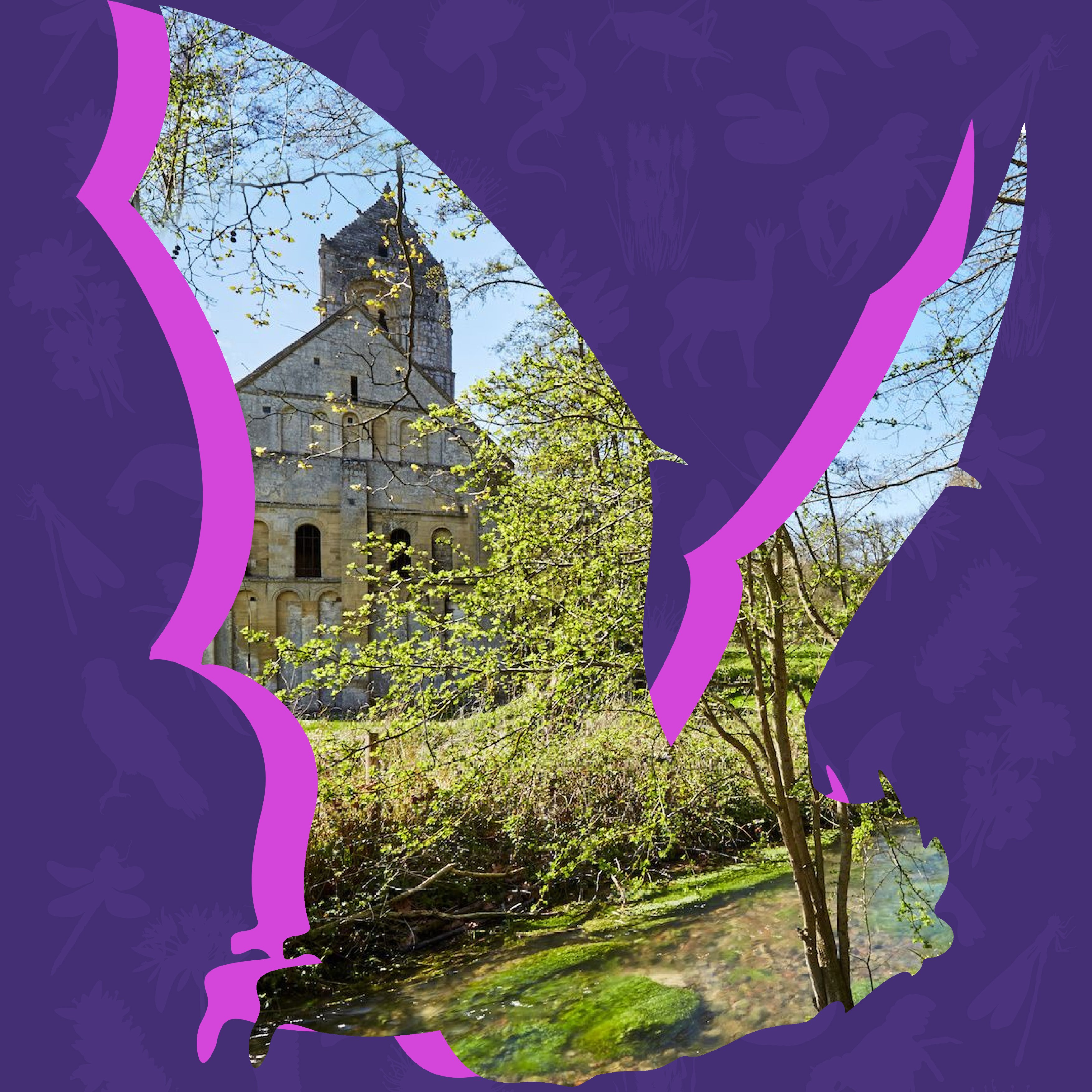 Quand la nuit tombe sur la vallée... (dans le cadre de la nuit de la Chauve-souris)