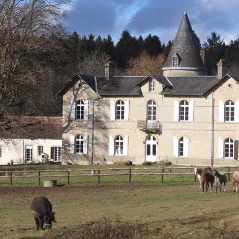 Poney-Club - Haras EOZ