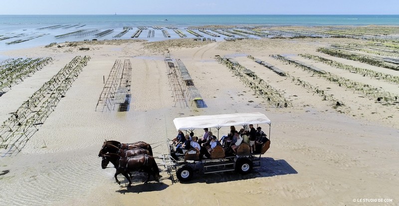 Attelages des Grandes Marées - photo 2