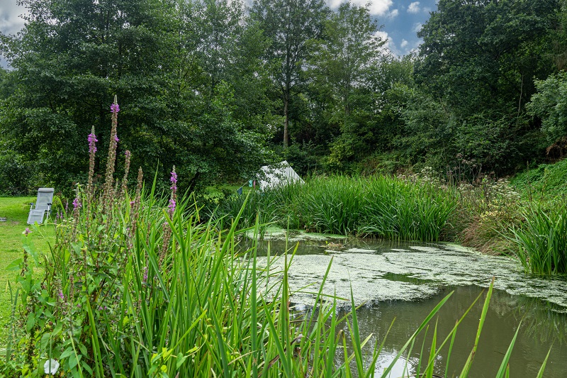 Camping Qui Vivra Verra, Le Mesnil-Amey - photo 4