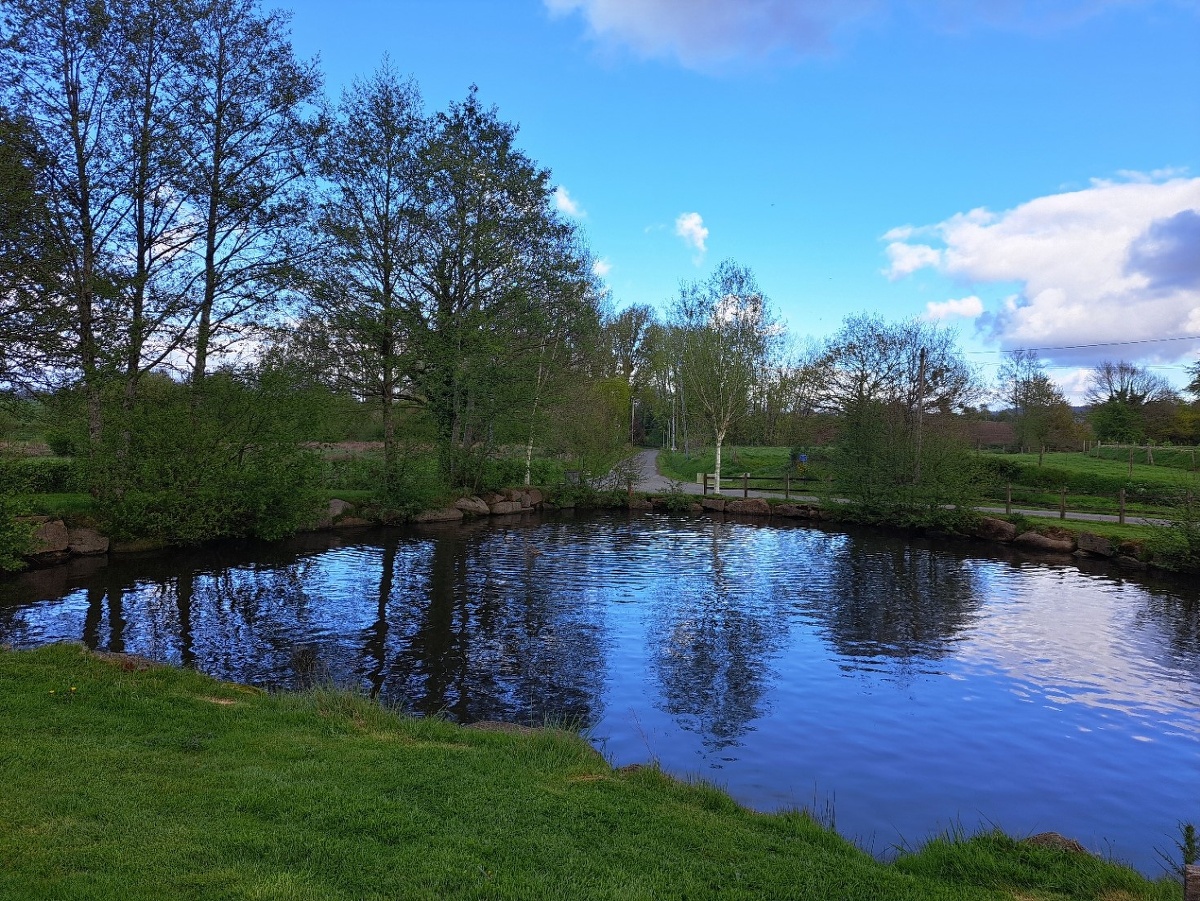 Gîte la Maison de l'étang, Noues de Sienne - photo 5