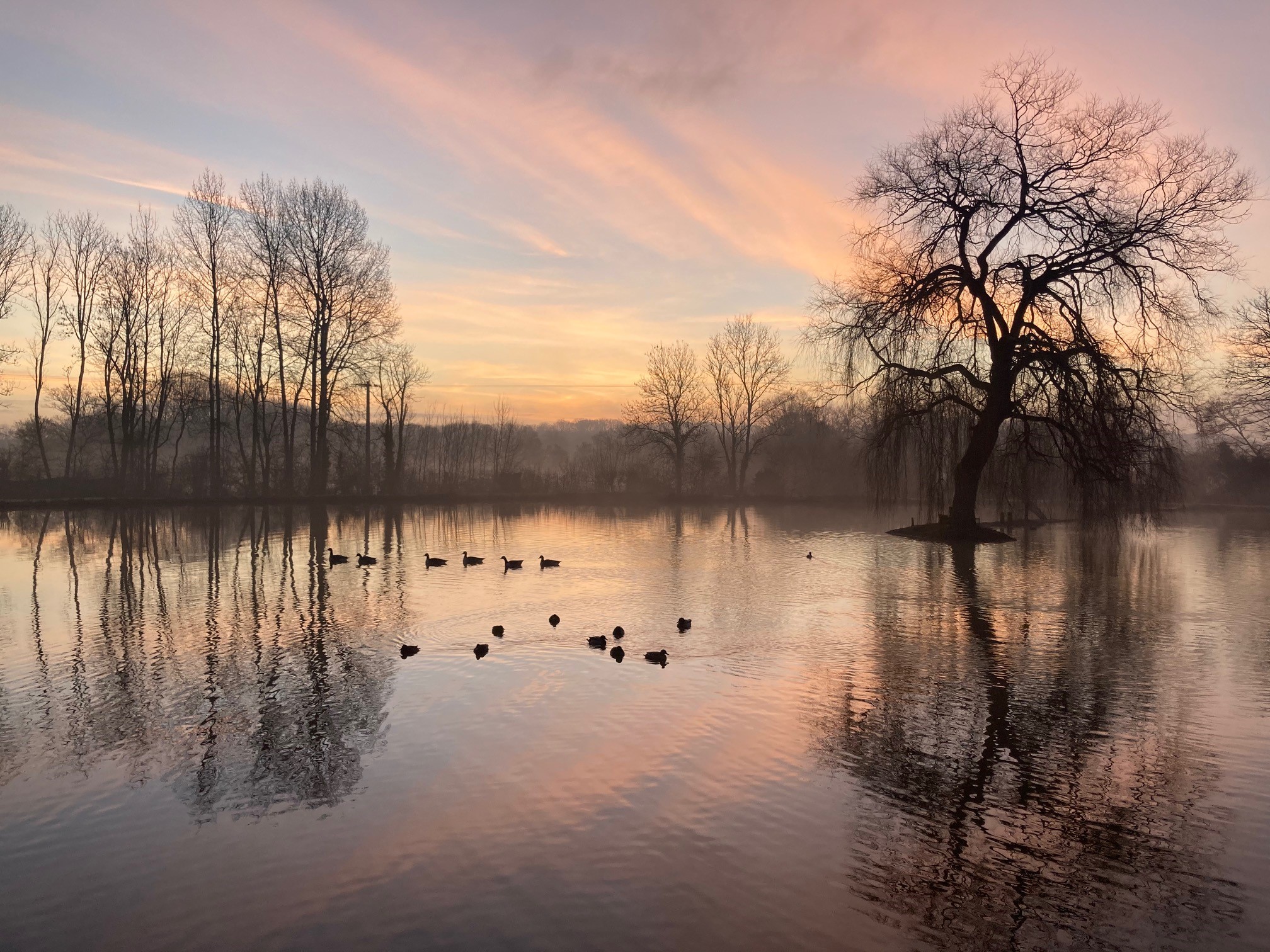 L'Etang d'un instant, Neuilly-le-Bisson - photo 8