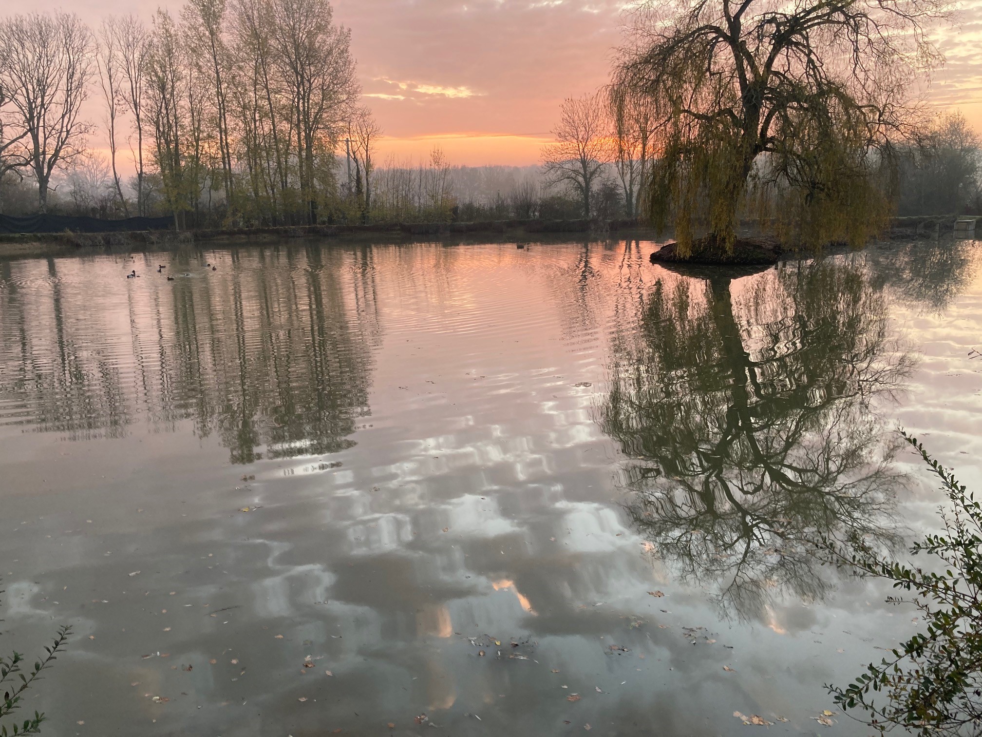 L'Etang d'un instant, Neuilly-le-Bisson - photo 7
