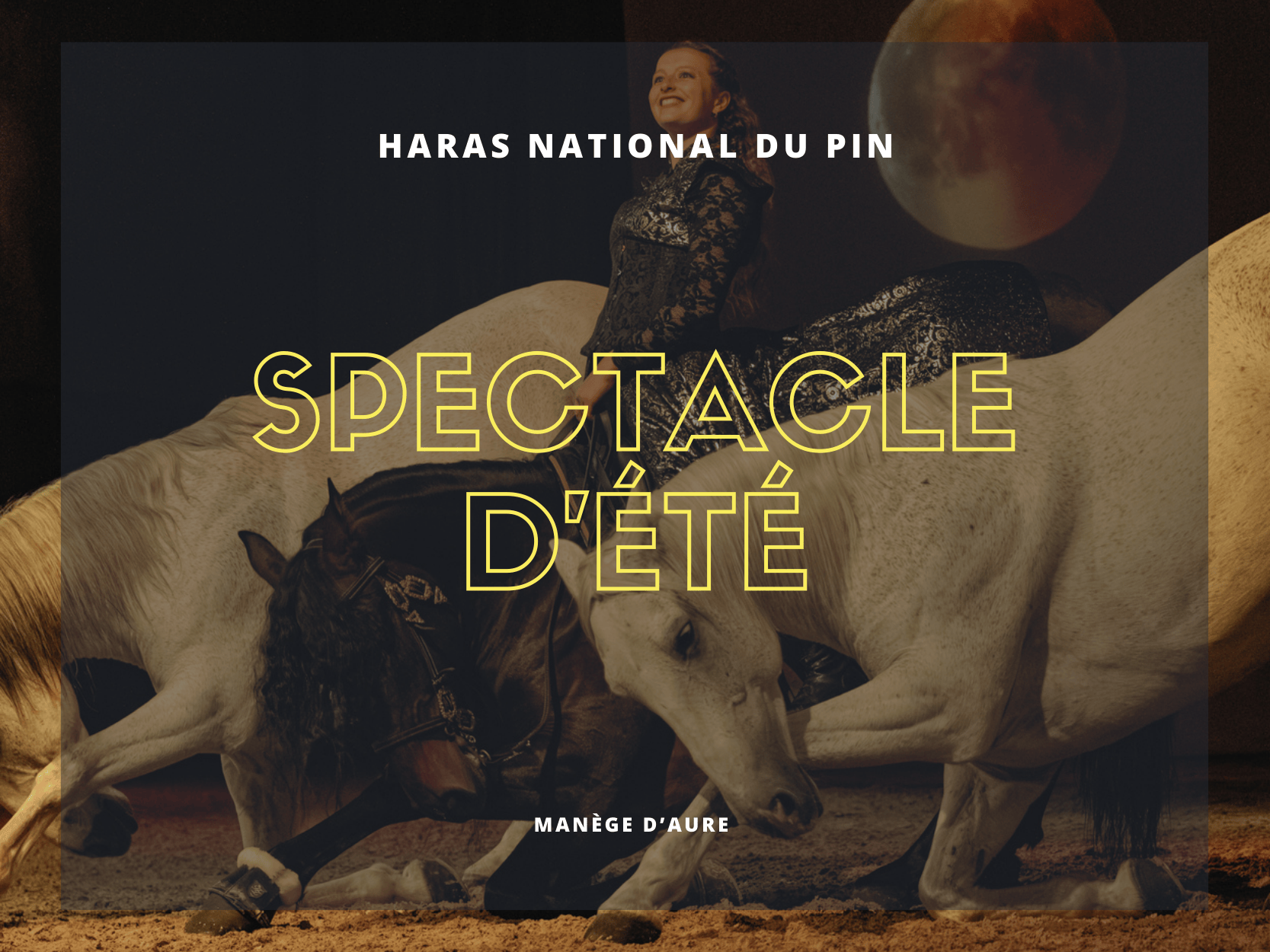 Spectacle équestre de l'été 