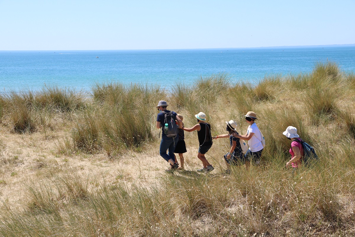 Sortie nature : Eveil à la nature dans les dunes, spécial 3/6 ans