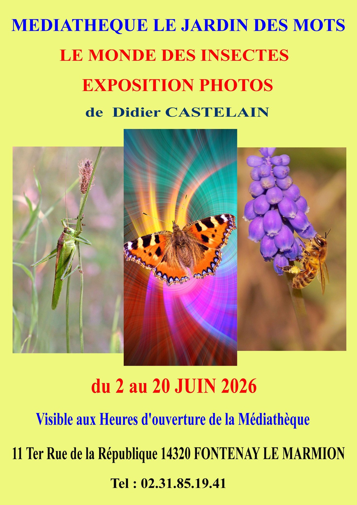 Exposition Photographies Le Monde des Insectes