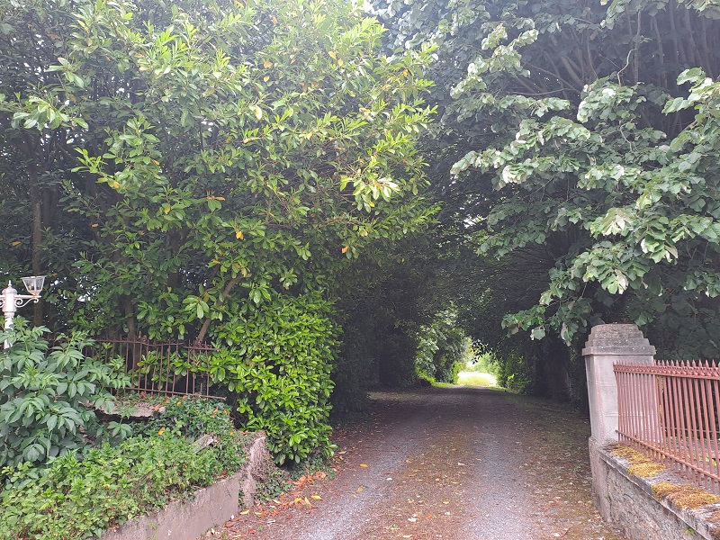 Meublé de tourisme > Le Nogalé, Pont-Hébert - photo 7