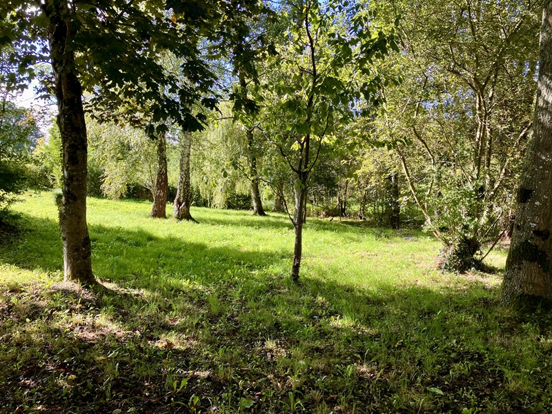 Meublé de tourisme>Les Maisons Falourdel, Bourgvallées - photo 12