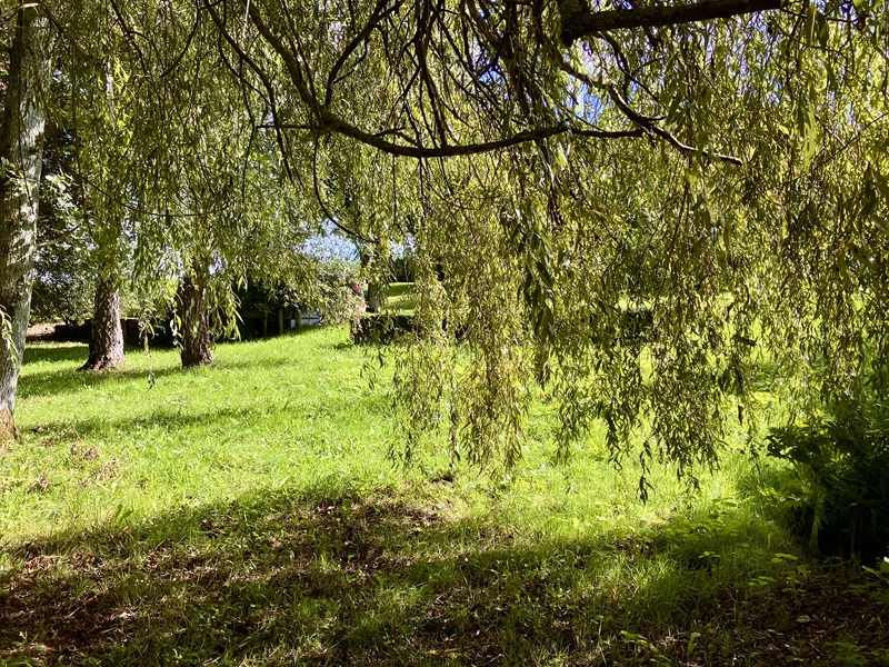 Meublé de tourisme>Les Maisons Falourdel, Bourgvallées - photo 15