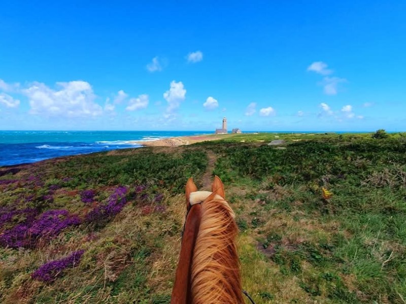 Les Chevaux du Cap Lévi
