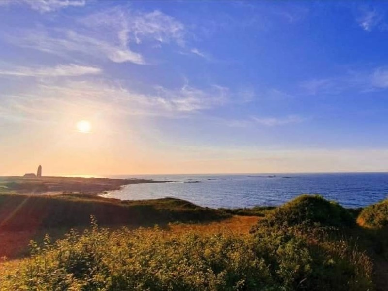 Les Chevaux du Cap Lévi, Fermanville - photo 3