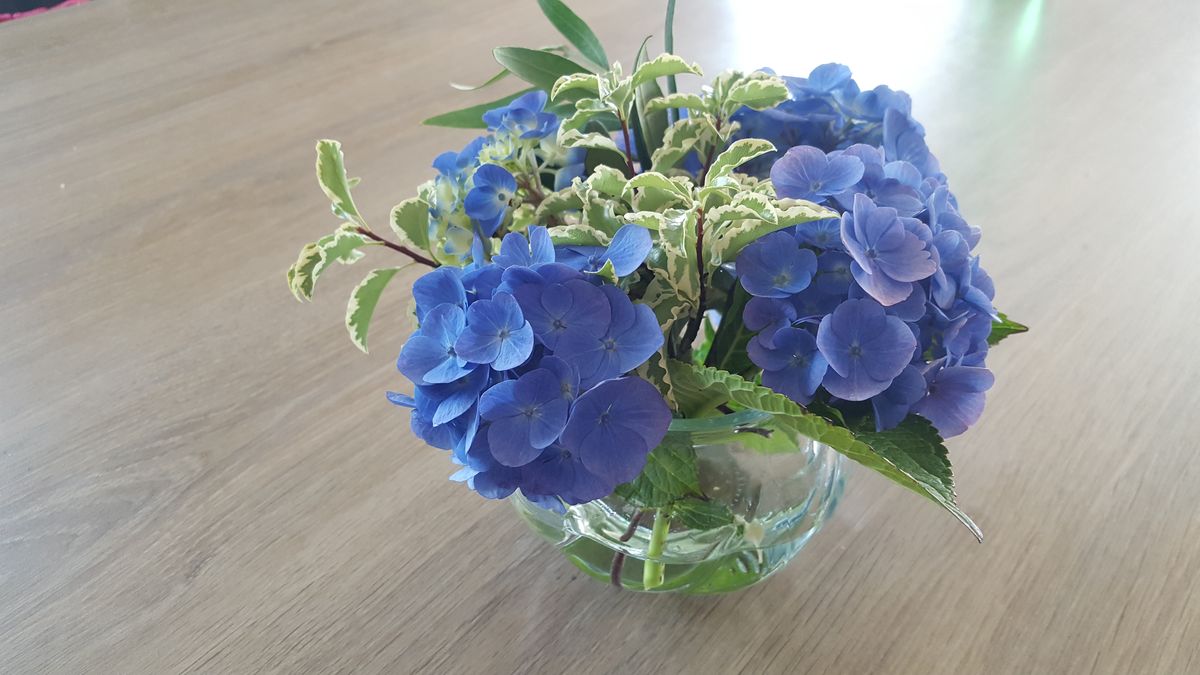 Meublé de tourisme > Entre terre et mer, Fermanville - photo 4